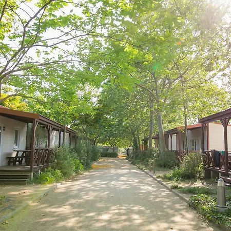 Campsite Camping La Tordera 3*