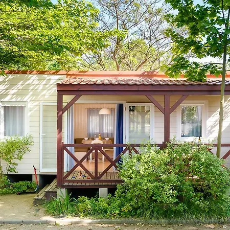 אתר קמפינג Camping La Tordera